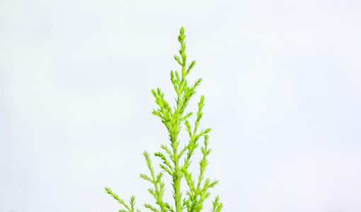 糖尿病患者康复期家庭照护要点:糖控与康复无缝衔接